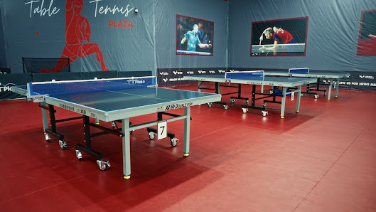 Table Tennis Plaza